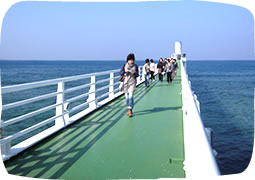 The bridge to the Underwater Observatory tower.