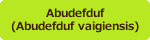 Abudefduf(Abudefduf vaigiensis)