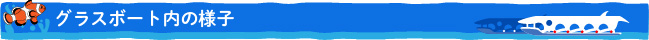 グラスボートの様子