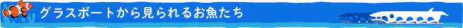 グラスボートから見ることができるお魚たち