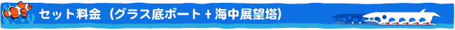 セット料金（グラス底ボート＋海中展望塔）